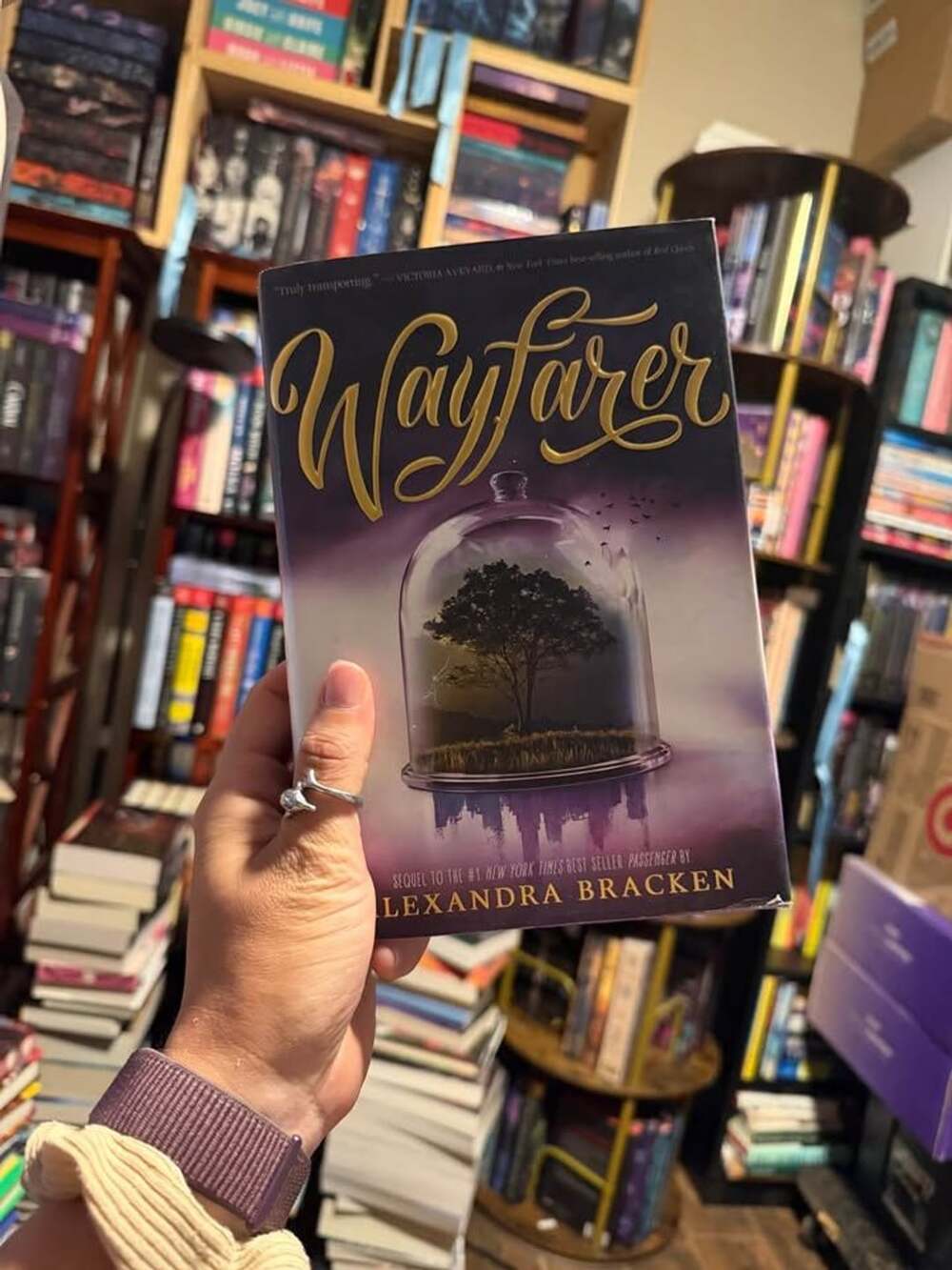 Wayfarer by Alexandra Bracken